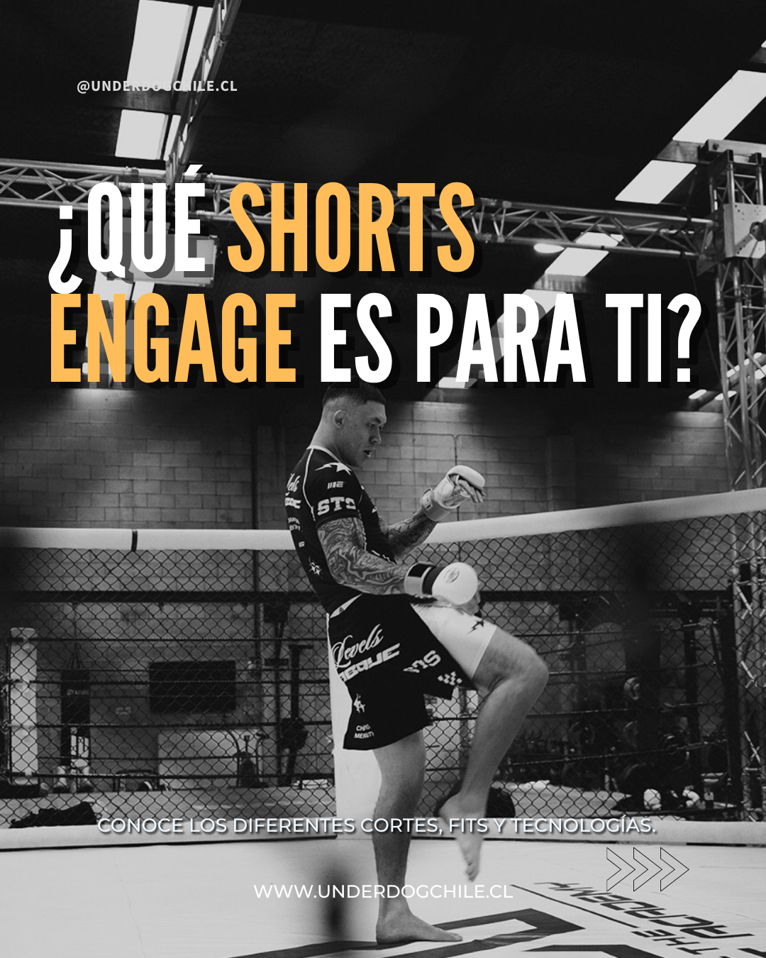 ¿QUÉ SHORTS ENGAGE ES PARA TI?