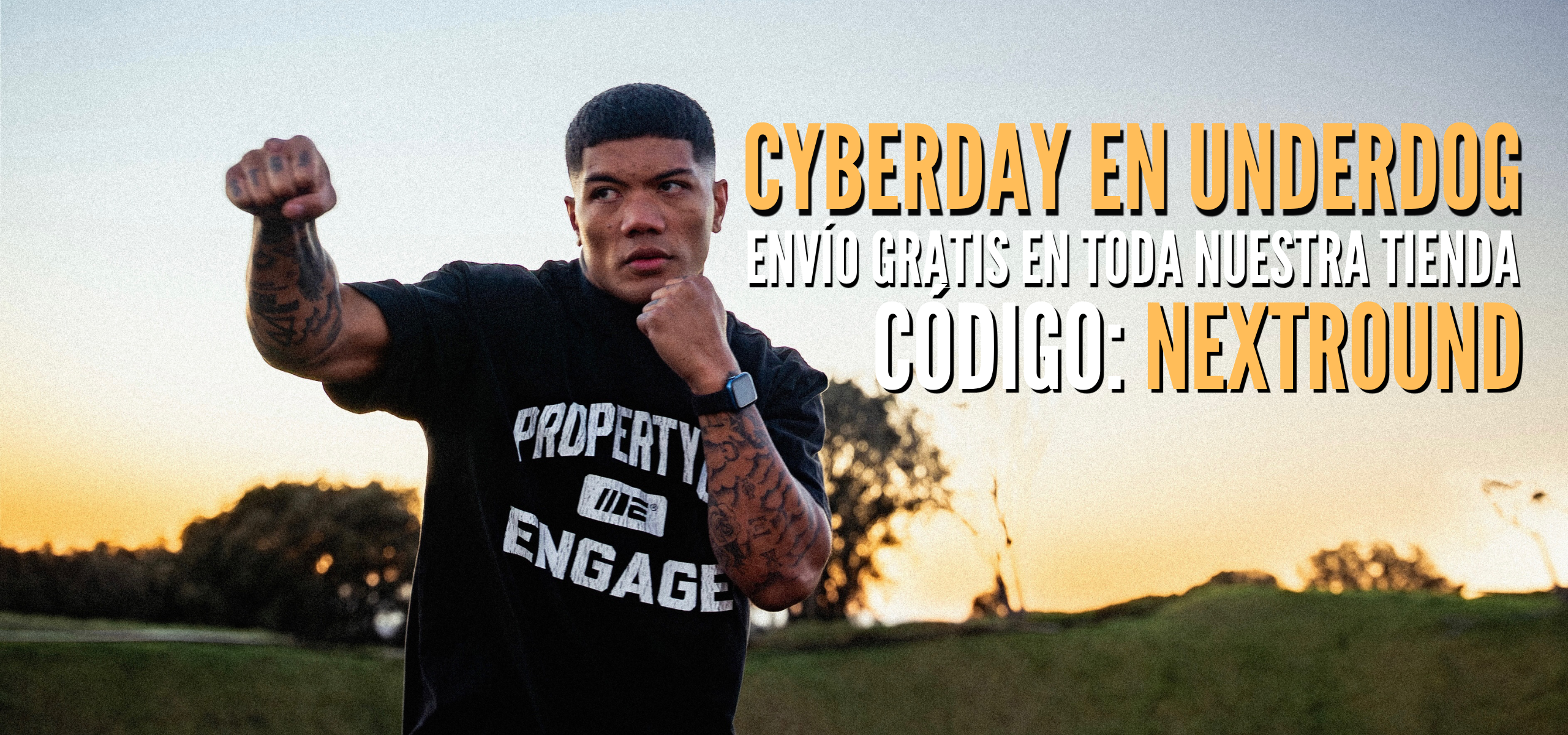 Equipamiento MMA y Boxeo Chile – Underdog Chile -Cyberday
